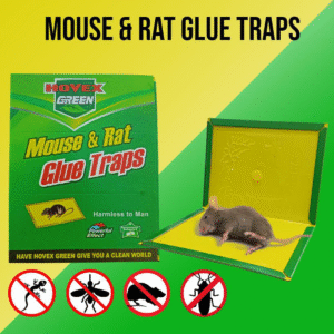 Mouse Rat Trap Sheet ( Pack of 2 )